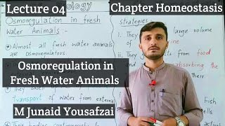 Osmoregulation in Fresh Water Animals  Kingdom of Biology  Homeostasis [upl. by Reitman]