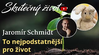 Jaromír Schmidt  To nejpodstatnější pro život [upl. by Sirroned948]