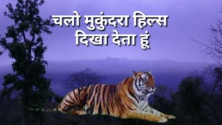 चलो मुकुंदरा हिल्स दिखा देता हूं  Mukundra Hills Tiger Reserve Kota [upl. by Anirbed]