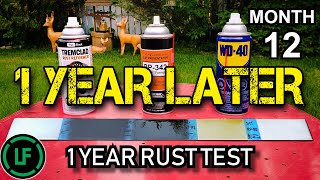 1 Year RUST Test  1 YEAR LATER  Tremclad Rust Reformer  Cosmoline RP342  WD40 [upl. by Stoffel]