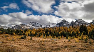 Larch Valley Hike Moraine Lake Banff National Park Alberta  Sept 2024 [upl. by Aidualc]