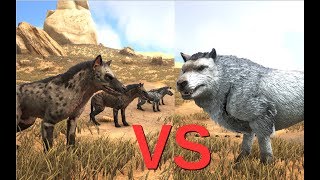 Hyaenodons vs Direwolf and some other dinosaurs  ARK Survival Evolved [upl. by Gorrono]