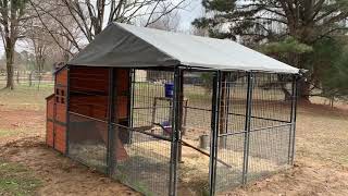 Producers Pride Defender Chicken Coop [upl. by Moonier]