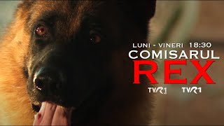 Când crezi că ai scăpat dar apare comisarul Rex [upl. by Korney]