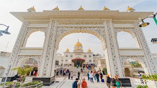 08112024 Official DSGMC  Gurbani Kirtan  Live Gurdwara Bangla Sahib [upl. by Nonna]