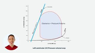 What is the EndSystolic PressureVolume Relationship ESPVR [upl. by Zat]