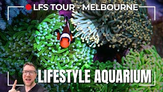 LFS Tour  Lifestyle Aquariums Melbourne [upl. by Morissa]