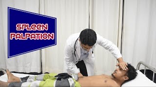 SPLEEN PALPATION  বাংলা [upl. by Olsen903]