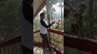 Sylhet smd24 food travel foodie trending indianfood beach seabeach automobile love [upl. by Emalee]