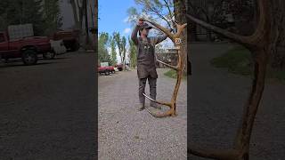 World record elk shed antler forged and welded steel antlerart shedantler elkshed metalartist [upl. by Madison764]