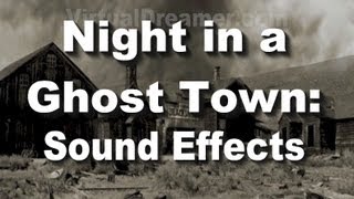 Sound Effects Night in a Ghost Town [upl. by Anauqed302]