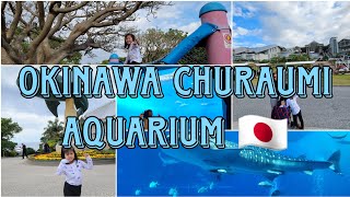 Okinawa Churaumi Aquarium [upl. by Zadoc652]