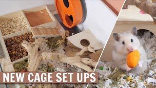 NEW Hamster Cage Set ups [upl. by Caria]