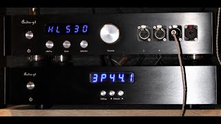 AUDIOGD R8 MKII R2R DAC FULL REVIEW [upl. by Topping]