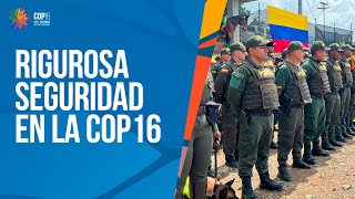 El fuerte y riguroso dispositivo de seguridad que blinda la COP16 en Cali [upl. by Imak]