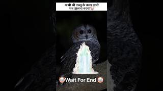 Real fact☠️🥶owl artfacts birdsamazingfactsanimals factsinhindiartandcrafts factsshortsfeed [upl. by Elbag]