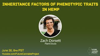 Understanding Inheritance Factors of Phenotypic Traits in Hemp [upl. by Dituri]