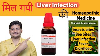 Leucas Aspara  Homeopathic Medicine For Liver Infection  How to Use  Symptoms [upl. by Simaj]