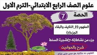 الحصة السابعةعلوم رابعة المفهوم الاولشجرة السنط  العلوم ده حكاية [upl. by Lasser]