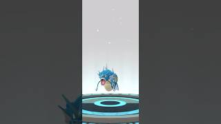 Evolve Gyarados pokemon pokemongo gyarados [upl. by Serolod]