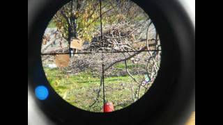 Air Rifle Hunting 4 New scope gamo 416x50 [upl. by Trimble]