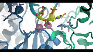 Clip  DNA traversal in CRISPRCas12a [upl. by Ubana]