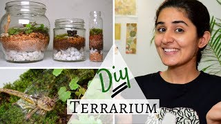 How to Make a Terrarium for Free 💚 [upl. by Isa647]