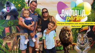 Vlog Animália Park em Cotia  Um dia de Diversão e muita Natureza [upl. by Halilad]