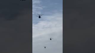 6 chinooks helicopters flying over and landing at lydd airport [upl. by Festa]