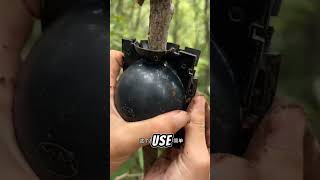 WITH THIS HACK EVERYONE CAN PLANT😨diy amazing viralvideo smallyard gardenerscorner plants [upl. by Tnecnivleahcim]