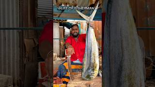 KASIMEDU🔥KUMAR 35KG😱MAHI FISH CUTTING VIDEOlifeoffisherman kasimedufishctting ytshorts [upl. by Tibbetts826]