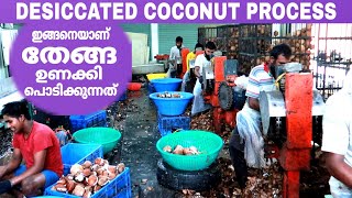 തേങ്ങ ഉണക്കി പൊടിക്കുന്ന മനോഹരമായ കാഴ്ച്ച😍  Desiccated Coconut Powder Process FZ ROVER  Malayalam [upl. by Ylevol]