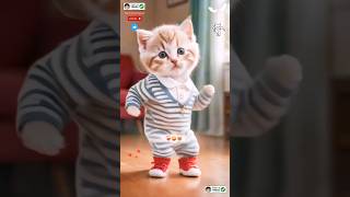 Cat dance Cute kitten 🖤 catlovecats cats catvideos kittenscatlover princesscat kitten [upl. by Kopple162]