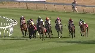 2024 Albury Gold Cup [upl. by Ahker]