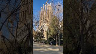 Obra de Gaudí la majestuosa Sagrada Familia shorts gaudi architecture europe [upl. by Boeschen]