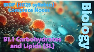 IBDP Biology B11 Carbohydrates and Lipids SL 2025 Syllabus Full Notes [upl. by Halford803]