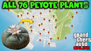 GTA Online All 76 Peyote Plant Locations  5000 Rp Per Plant [upl. by Ahsirtal812]