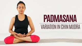 How to do Padmasana a Variation using Chin Mudra  Yoga  Sitting Postures [upl. by Au]