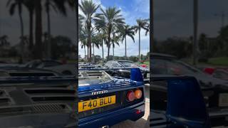 Discover the Rare 1 of 1 Ferrari F40 BLU at Cavallino Classic [upl. by Becca]