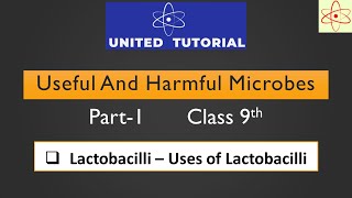 Useful and Harmful Microbes Part1  Class 9th  Lactobacilli  Uses of Lactobacilli 9thscience [upl. by Clem]