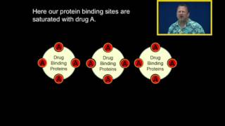 Protein Binding [upl. by Orlantha605]