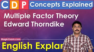 Multiple Factor Theory  Edward Thorndike CDP Concepts English Explanation [upl. by Jocko288]