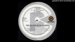 Sounds Of Blackness  Testify 12quot Hallelujah Dub amp 12quot Spirit Dub [upl. by Nagorb]