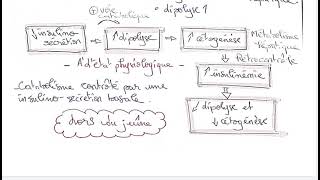 ACIDO CETOSE DIABETIQUE [upl. by Les530]