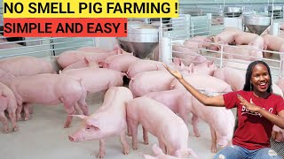 How To START A PIG FARM Business As A BEGINNER  DETAILED  2023 [upl. by Novehs]