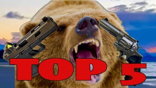 Updated Top 5 Firearms for Alaska Brown Bear Defense I Was WRONG [upl. by Geerts22]