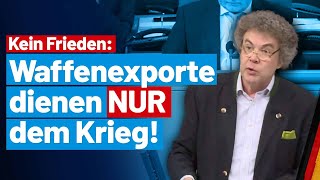 Wertegeleitete Rüstungsexporte sind nicht im deutschen Interesse Matthias Moosdorf AfDFraktion BT [upl. by Dorothi370]