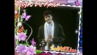 Chayanne  Peligro De Amor Live Festival De Viña 88 [upl. by Nyad]