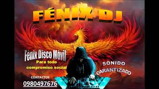 🎚️🔊🕺INTI RAYMI MIX 2024 🎚️🔊🕺  FÉNIX DJ [upl. by Kenlee192]