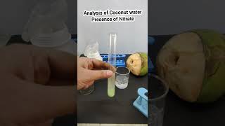 Analysis of Coconut water Nitrate Ring Test Class 12 Chemistry Project [upl. by Ynnot778]